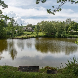 Redwell   17 06 2020   D500   Les 419.jpg